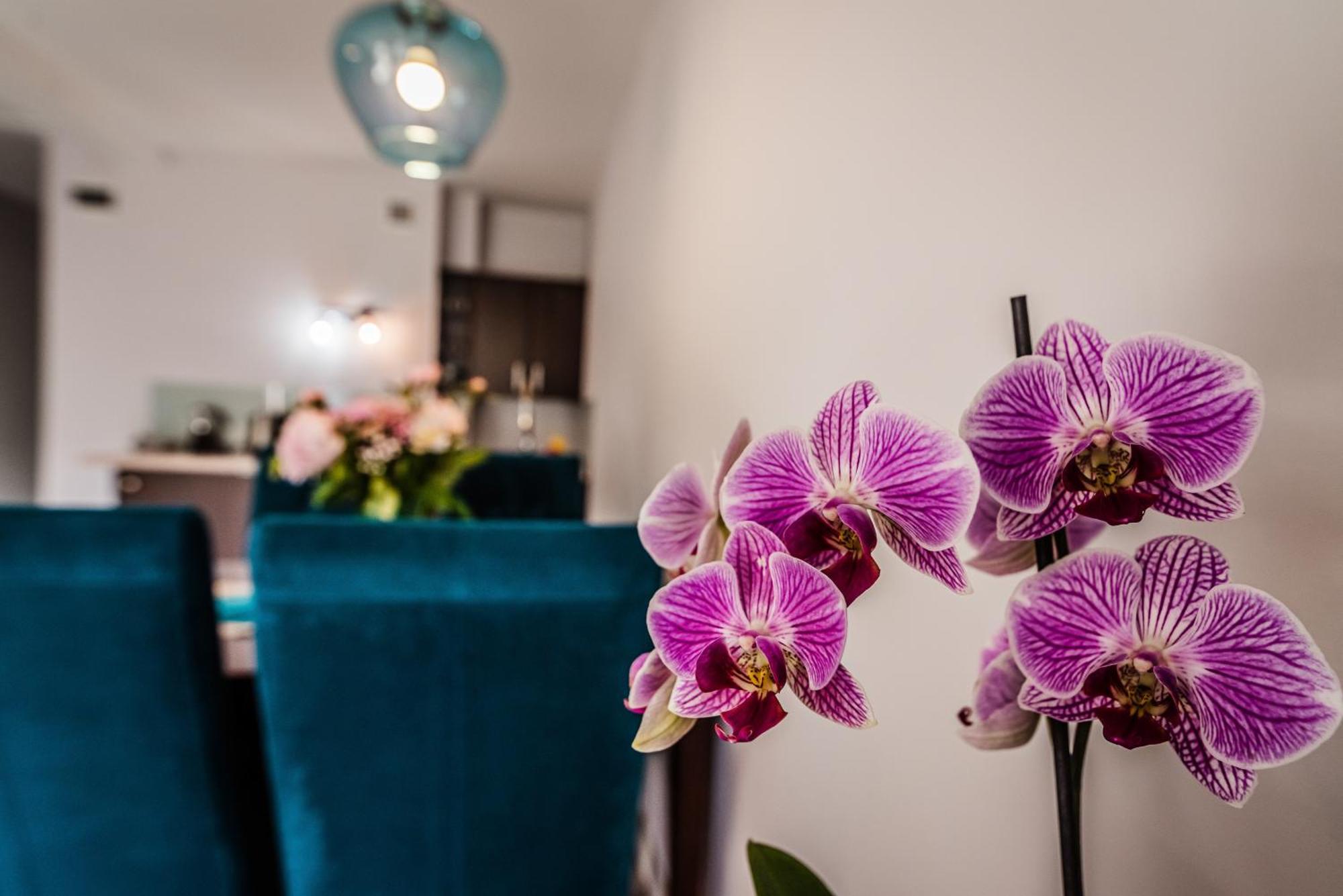 Apartamenty Widok Szczawnica Esterno foto